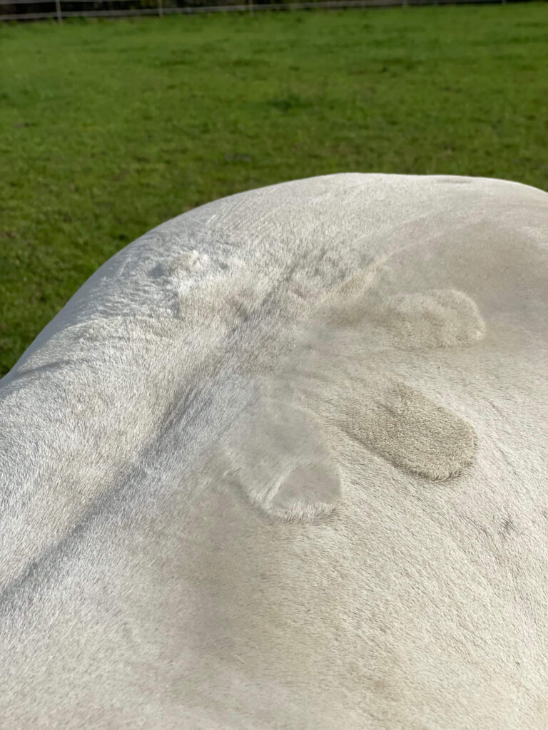 Pferdetaping Anhebeeffekt